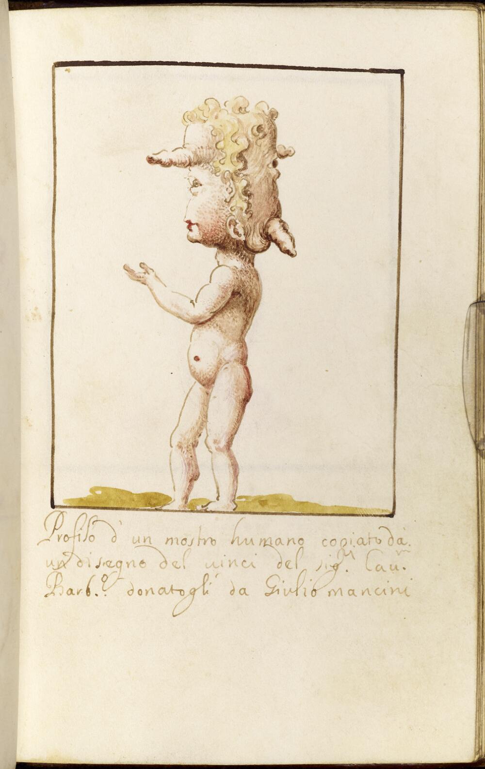 Profile of a monstrous human child with multiple facial features and cranial protrusions, identified as a copy after Leonardo da Vinci.